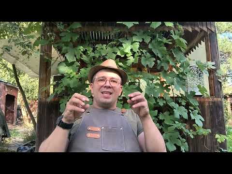 Видео: Немного биологии. Чем кормить улитку. Дом улитки. Улиточная ферма в Подмосковье.