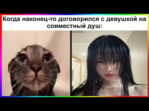 Видео: тик ток с девушкой | подборка мемов