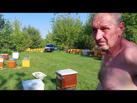 Видео: Прицеп для перевозити бджіл. Цікаве кріплення вуликів