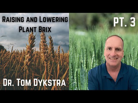 Видео: Доктор Том Дайкстра | Повышение и понижение индекса Брикса, ч. 3