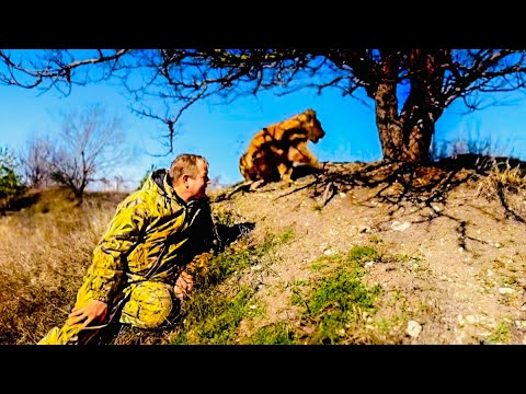Видео: Я ПОРАЖЕНА! Из львенка Симбы точно вырастет ВТОРОЙ Чук,настолько этот малыш привязан к Олегу Зубкову