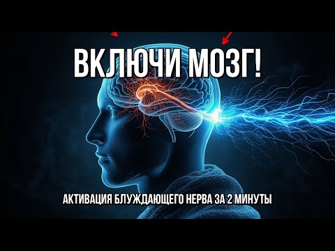 Видео: Мозг на Ручнике? 🧠 Активируй Блуждающий Нерв за 120 Сек! Верни Волю!
