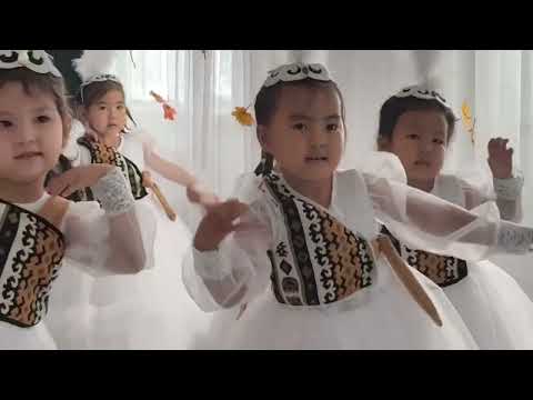 Видео: 25 октября 2025 г.