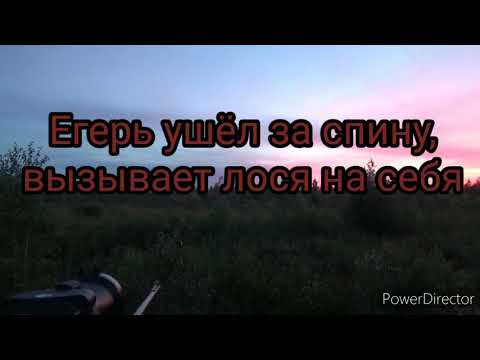 Видео: Охота на лося на реву