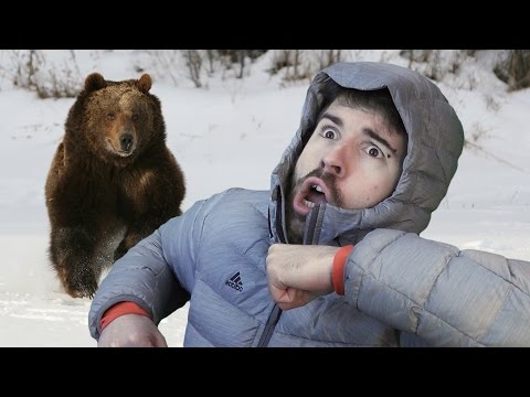 Видео: КАК УБЕЖАТЬ ОТ МЕДВЕДЯ