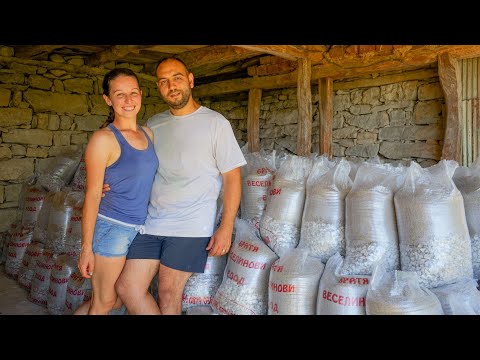 Видео: ЖИВОТ НА СЕЛО: Опустошителна буря + 5 камиона с материали за навеса 👷🛠️ | Boho Soulz