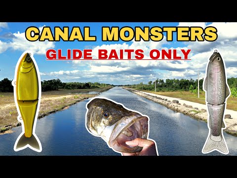 Видео: 7 дней охоты на монстров с приманками-планеристами в каналах Флориды