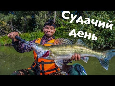 Видео: КРУПНЫЕ СУДАКИ! Рыбалка в Казахстане на реке Иртыш!