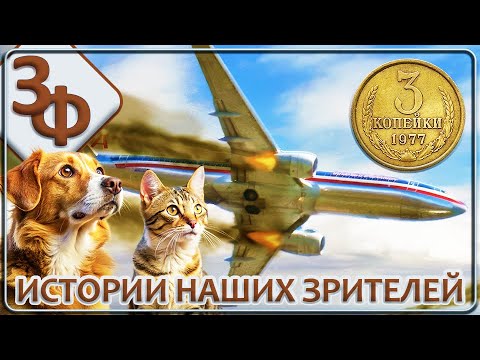 Видео: 186 Родильный дом находился на месте старого кладбища | Истории Зрителей