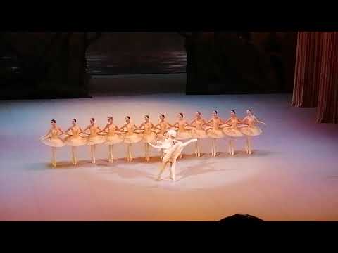 Видео: Спящая красавица. 1 ноя вечер 2025