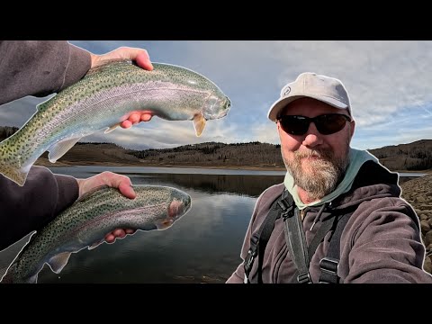Видео: Густые радуги на поплавковой трубке