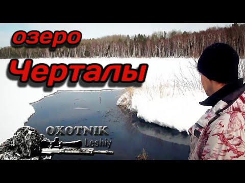 Видео: Таёжное озеро Малые Черталы. Огромные косяки рыбы в начале весны!