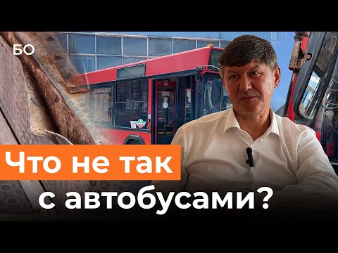 Видео: Ужасное состояние краснобусов. Кто виноват и что делать?