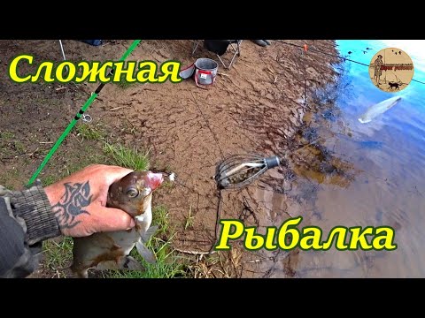 Видео: Сложная но приятная  рыбалка на донки.