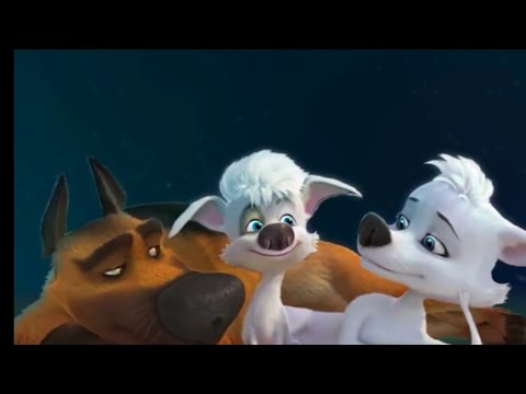 Видео: Белка и Казбек: Мой Котик.