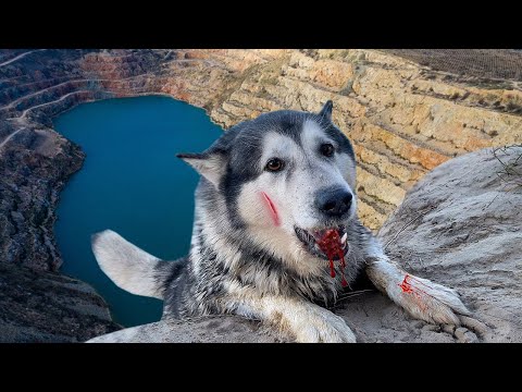 Видео: Пока сын был в школе, отец выбросил собаку в карьер, и вот чем ВСЁ ОБЕРНУЛОСЬ...