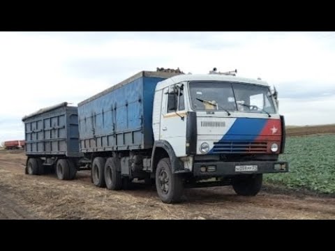 Видео: Уборка САХАРНОЙ свёклы