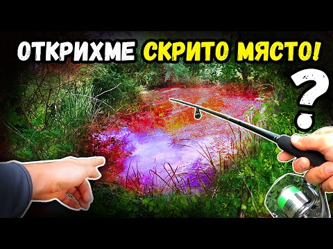 Видео: ЛОВИМ РИБА в УРАГАНЕН ВЯТЪР! НАМЕРИХМЕ ЛИ GoPro-то! Щука, пъстърва и кефал