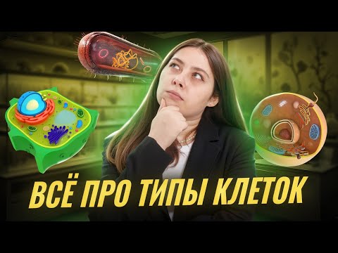 Видео: Типы клеток | Подробный разбор для ЕГЭ по биологиия | Умскул