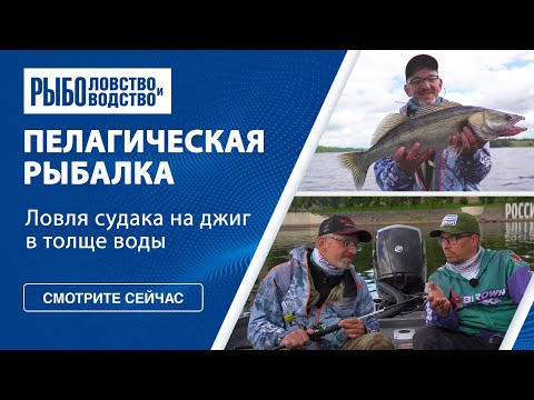 Видео: Паноптикс: пелагическая рыбалка на судака | 2023