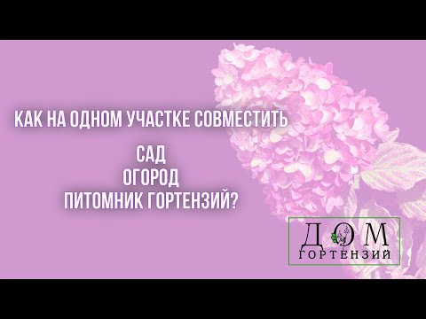 Видео: Экскурсия по участку. Гортензии в огороде.