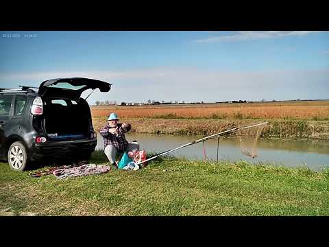 Видео: Оставьте прошлые обиды  #рыбалка #fishing #carpfishing #карп