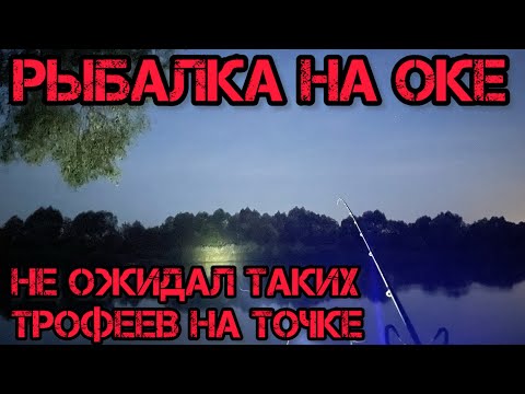 Видео: РЫБАЛКА на ОКЕ в НАЧАЛЕ СЕНТЯБРЯ не ОЖИДАЛ ТАКИХ ТРОФЕЕВ на ТОЧКЕ