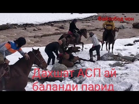 Видео: Бузкаши бенихоят гизалашид 19 02 2023 нохияй Файзобод дехай Сарой