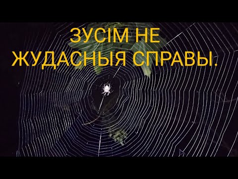 Видео: Зусім не жудасныя справы.