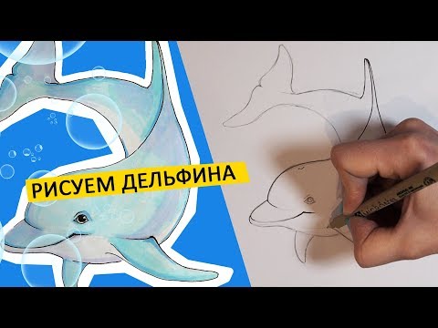 Видео: КАК НАРИСОВАТЬ ДЕЛЬФИНА, ПРОСТОЙ СПОСОБ
