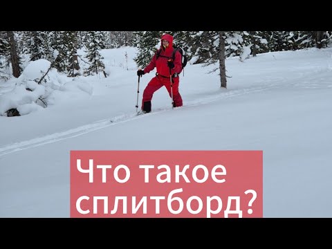 Видео: Что такое сплитборд?