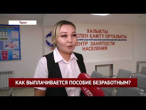 Видео: КАК ВЫПЛАЧИВАЕТСЯ ПОСОБИЕ БЕЗРАБОТНЫМ?