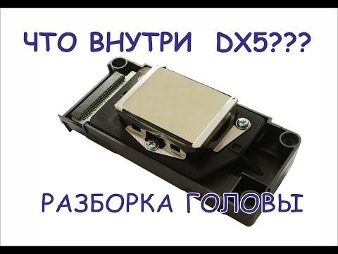 Видео: EPSON DX5 Как устроена голова