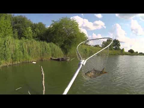 Видео: Ловля карпа на летнюю мормышку с берега Карп клюёт!