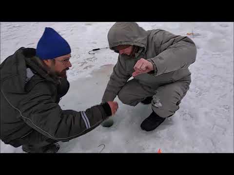 Видео: Клёвое место (Савельево), ЛОВИМ ФОРЕЛЬ - ПАСТОЧНОЕ УТРО, РАТЛИНОВЫЙ ОБЕД))))