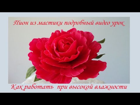 Видео: Пион из рисовой мастики/Работа с мастикой при высокой влажности/Flowers for the cake