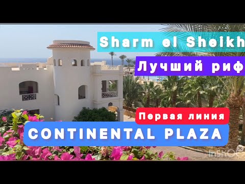 Видео: Свежий обзор Continental Plaza Beach Resort /  Egypt all inclusive /  Sharm el Sheikh