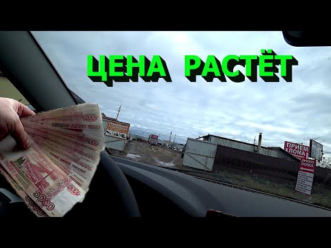 Видео: Халява существует! Цена растёт! Начал готовить участок к зиме!