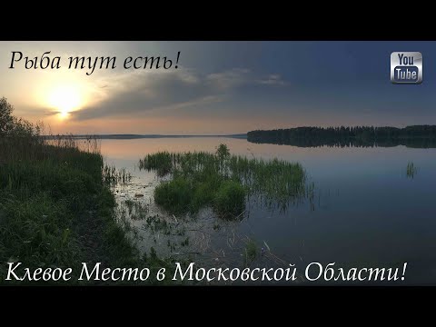 Видео: Клевое Место! река Мазиха, Сенеж, Солнечногорск  Ловим Плотву, Леща, Карпа, Щуку, Виски, Коньяк и
