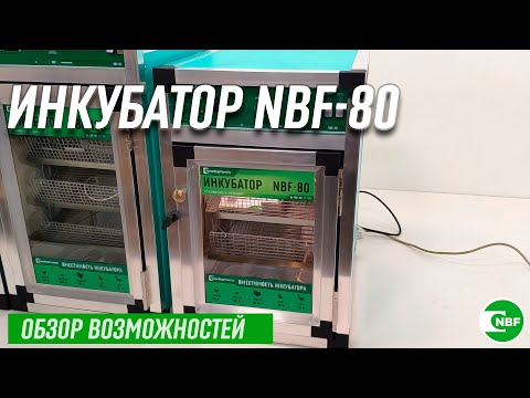 Видео: Инкубатор NBF-80