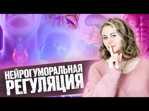 Видео: Нейрогуморальная регуляция | Летний курс | БиоФАК 2022