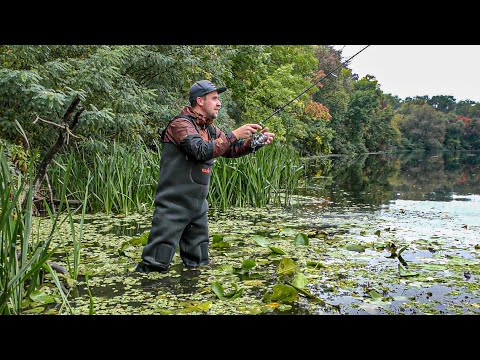 Видео: ОСЬ ТАК Я ЛОВЛЮ ЩУКУ! 🐟🐟🐟 Затоки річки Псел!