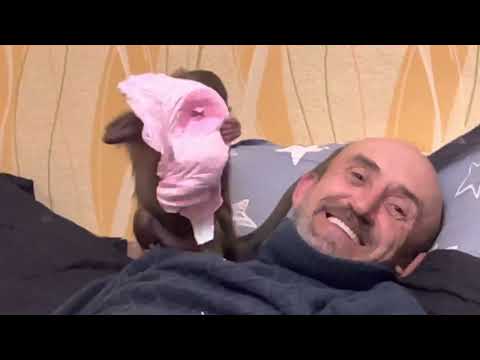 Видео: Вы хотите СМЕЯТЬСЯ ВЕСЬ ВЕЧЕР? Влад одевает Люське памперс)))