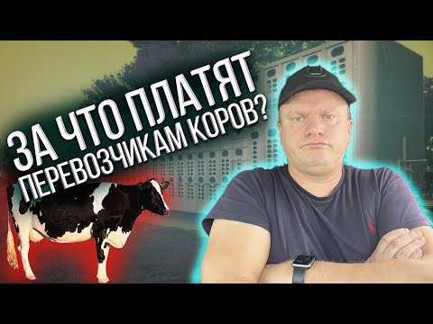 Видео: Чипарь и Кризис в США - Пустые мили на ВЭНе - Куда ехать? Работа на ВЭНе в АМЕРИКЕ - 3.48