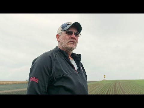 Видео: Экстракт компоста для здоровья почвы и экономии средств: интервью с Дугласом Пулом