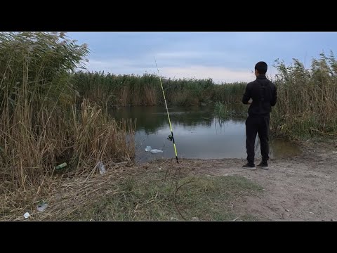 Видео: ИЩЕМ МЕСТА,ГДЕ ОБИТАЮТ МОНСТРЫ!ЖЕРЕХ,СУДАК,СОМ!