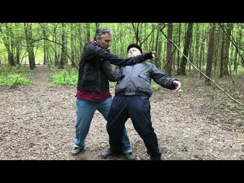 Видео: "Прямая Плеть" от захвата - разбираем применение тайцзи 24 формы Ян.