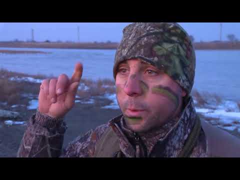 Видео: ЗА ГЪСКИ С БАБУГЕРИТЕ В ПОМОРИЕ 2016