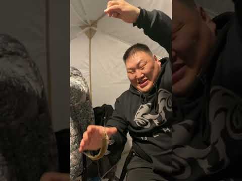 Видео: Подлёдная рыбалка в Усть-Таатте (3 часть)