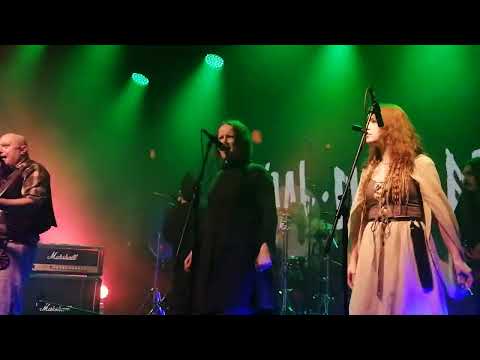 Видео: Тролль Гнёт Ель - Тролль Гнёт Ель (live in SPb)